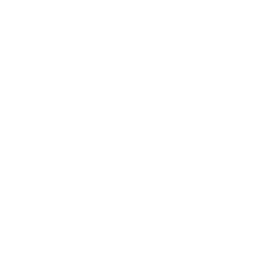 Global Service